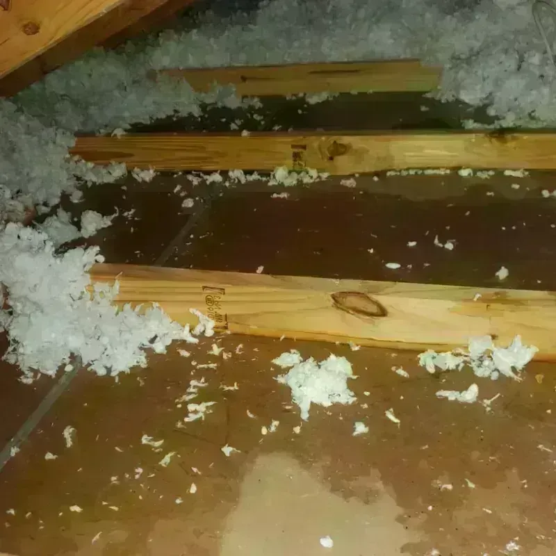 Attic Water Damage in Fort Deposit, AL